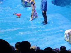 -烟台海昌鲸鲨海洋公园