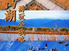 -野鸭湖国家湿地公园