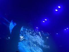 -STELLAR NIGHT CLUB星际酒吧(明发商业广场店)