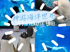 -威海华夏城景区