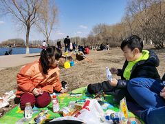 -丁香湖公园