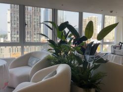 -台湾台婴美月子中心(长沙保利店)
