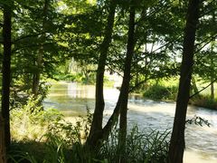 -桤木河湿地公园