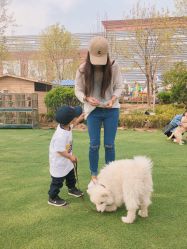 点击看大图 -萌宠亲子动物乐园(槐房万达店)