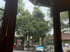 -院子餐厅·大锅菜·老杭帮(桥西直街店)