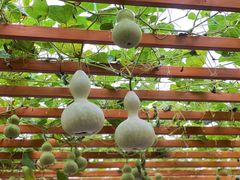 -中国天府农业博览园