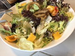 -蓝枪鱼Blue Marlin Infinita(星海店)