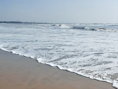 -日照海滨国家森林公园