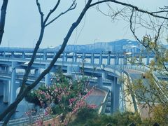 -星海湾跨海大桥