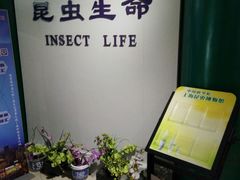 -上海昆虫博物馆