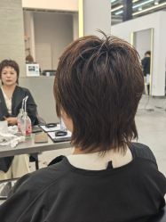 -蚂蚁造型俱乐部
