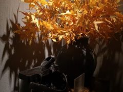 -Dragonfly 悠庭·按摩Spa(苏州中心广场店)