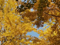 -苏州河梦清园环保主题公园