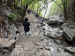 -十渡东湖港风景区