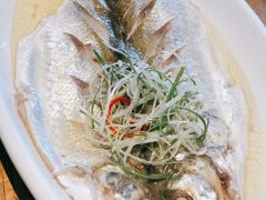 -吴越荣记苏州菜·松鼠桂鱼100%活鱼现做(斜塘老街店)