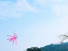 -风云岭森林公园