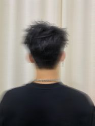 -IDOL-PLUS
