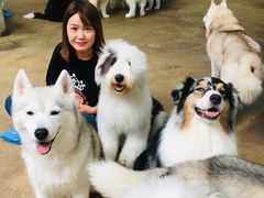 -TrueLove @ Neverland (Husky Cafe)