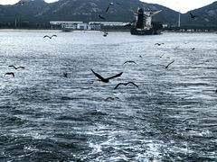 -海驴岛(荣成市)