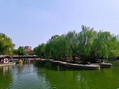 -团结湖公园