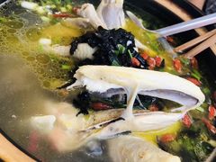 石耳土鸡汤-九华山友谊土菜馆 小资餐厅