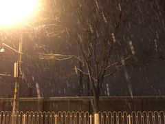 -包装马车·韩国料理·포장마차