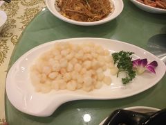 -中国饭店-餐厅