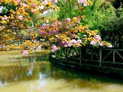 -南汇桃花村