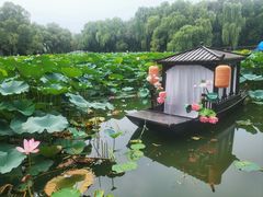 -北陵公园