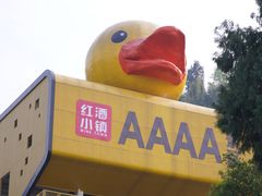 -美心红酒小镇游乐园