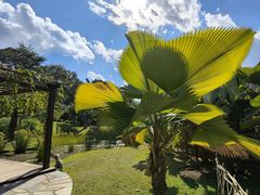 -中国科学院西双版纳热带植物园