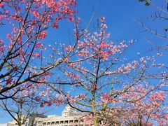 -风云岭森林公园