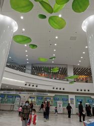 -上海市儿童医院(泸定路院区)