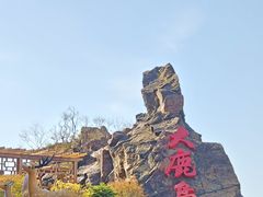 -大鹿岛