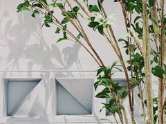 -喜茶(烟台海港路振华商厦店)