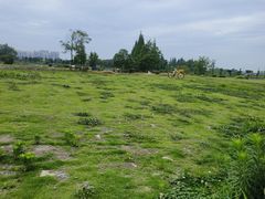 -蜀绣公园