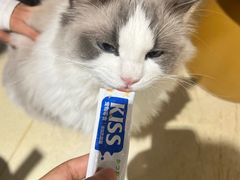 -藏猫猫咖啡主题馆(中央大道店)