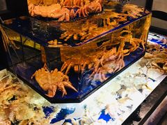 -蟹道乐(道顿堀本店)