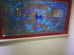 -上海昆虫博物馆