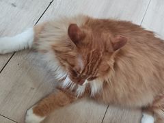 -吉派索自家烘焙咖啡馆(千佛山店)