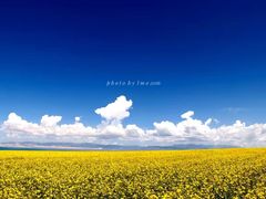 -青海湖国家重点风景名胜区