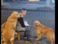 -八木轩·寻味大理白族民俗餐厅(文献路店)