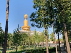 -兴隆文化园景区
