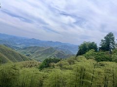 -莫干山风景区