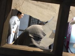 -新四军黄桥战役纪念馆(新馆)