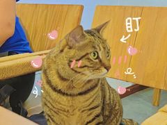 -栖咖啡(泉舜店)