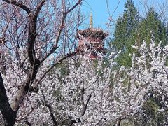 -云龙湖旅游景区