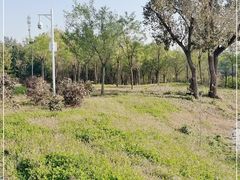 -马家湾湿地公园