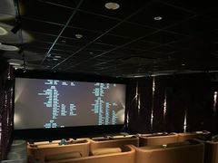 -金逸影城(宝安大仟里IMAX激光店)