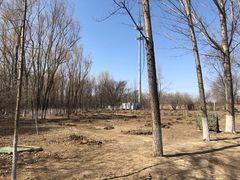 -亲兄弟真人CS团建拓展基地